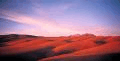 Imagen del desierto El desierto